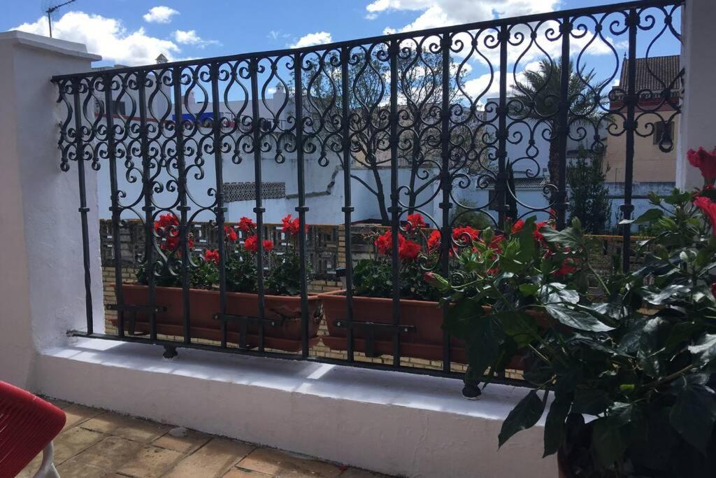 Geranium House Villa Seville Exterior photo
